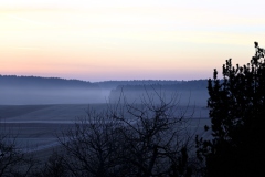 Morgenstimmung in Böhmfeld am 25.03.2021