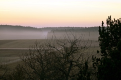 Morgenstimmung in Böhmfeld am 25.03.2021